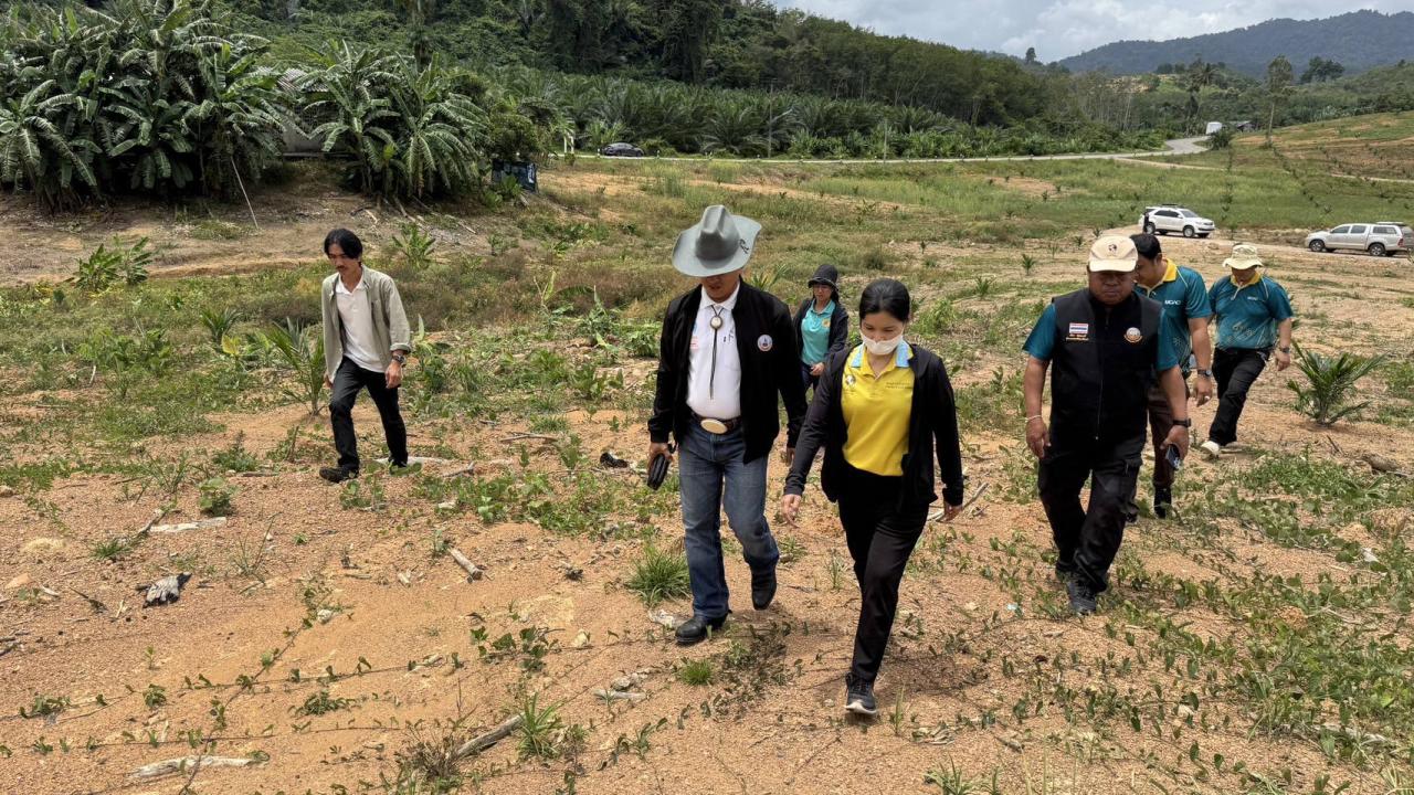 ภาพประกอบที่ 6