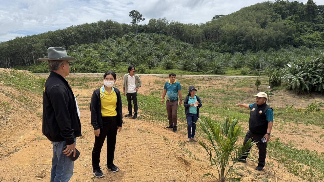 ภาพประกอบที่ 7