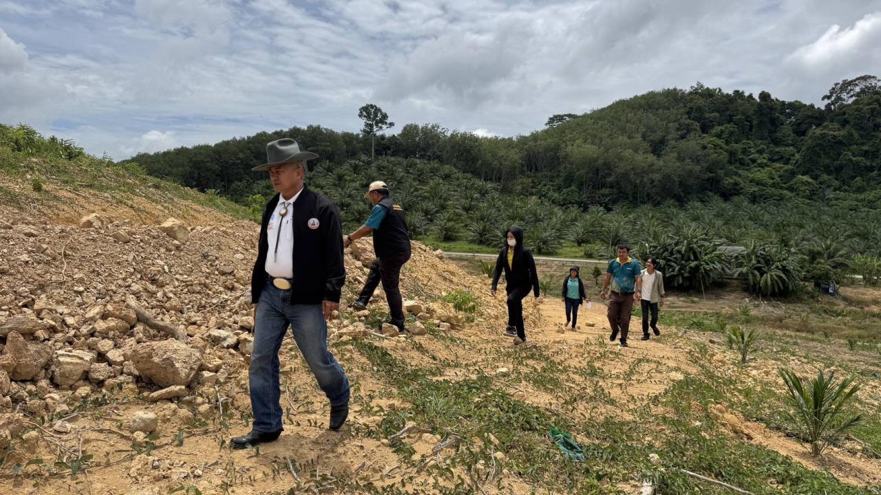 ภาพประกอบที่ 8