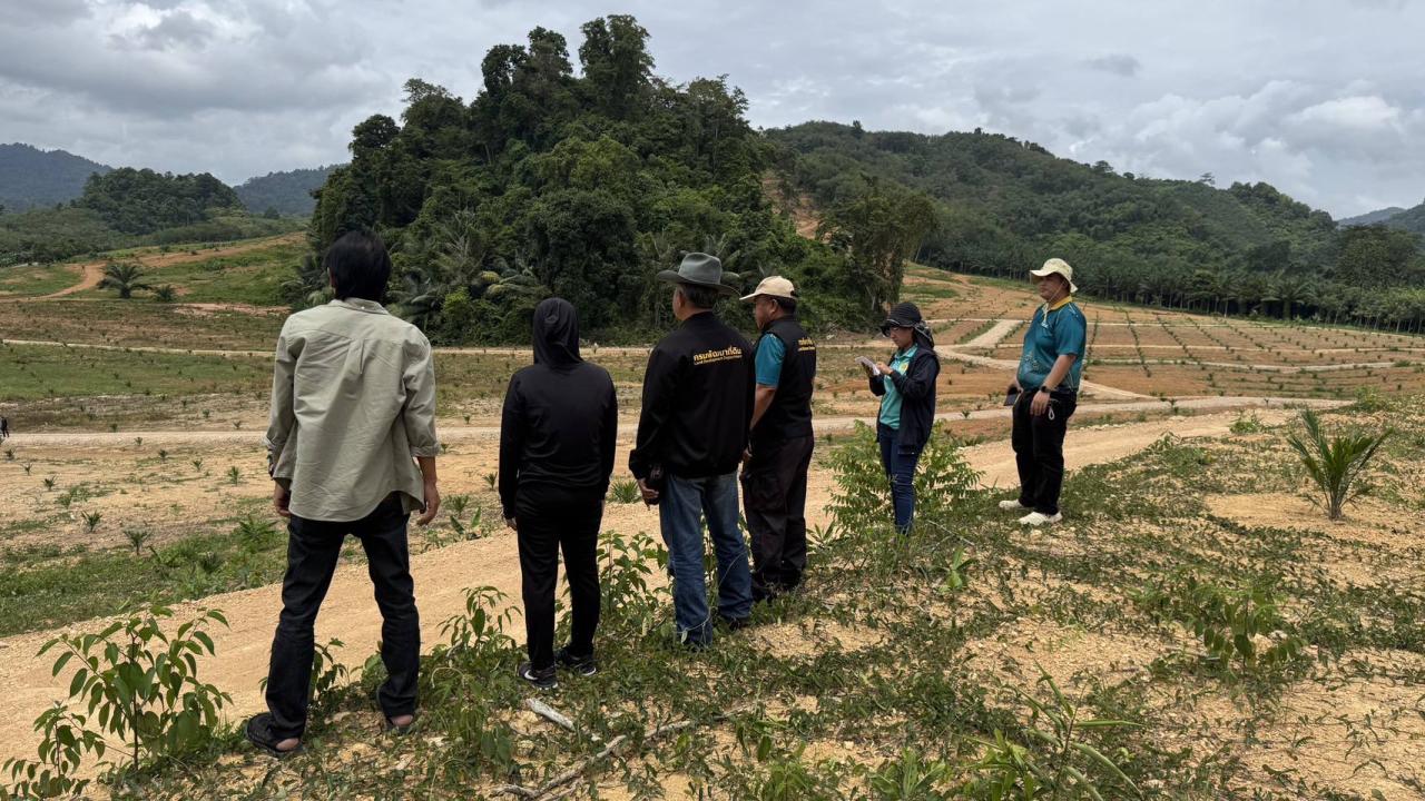 ภาพประกอบที่ 11