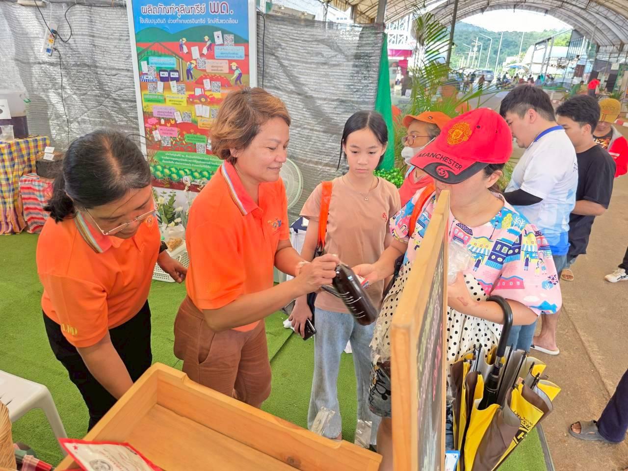 ภาพประกอบที่ 12