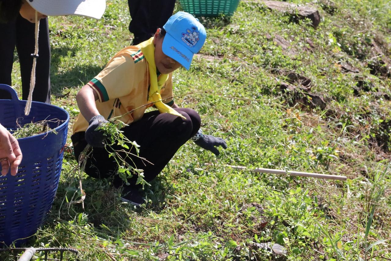 ภาพประกอบที่ 8