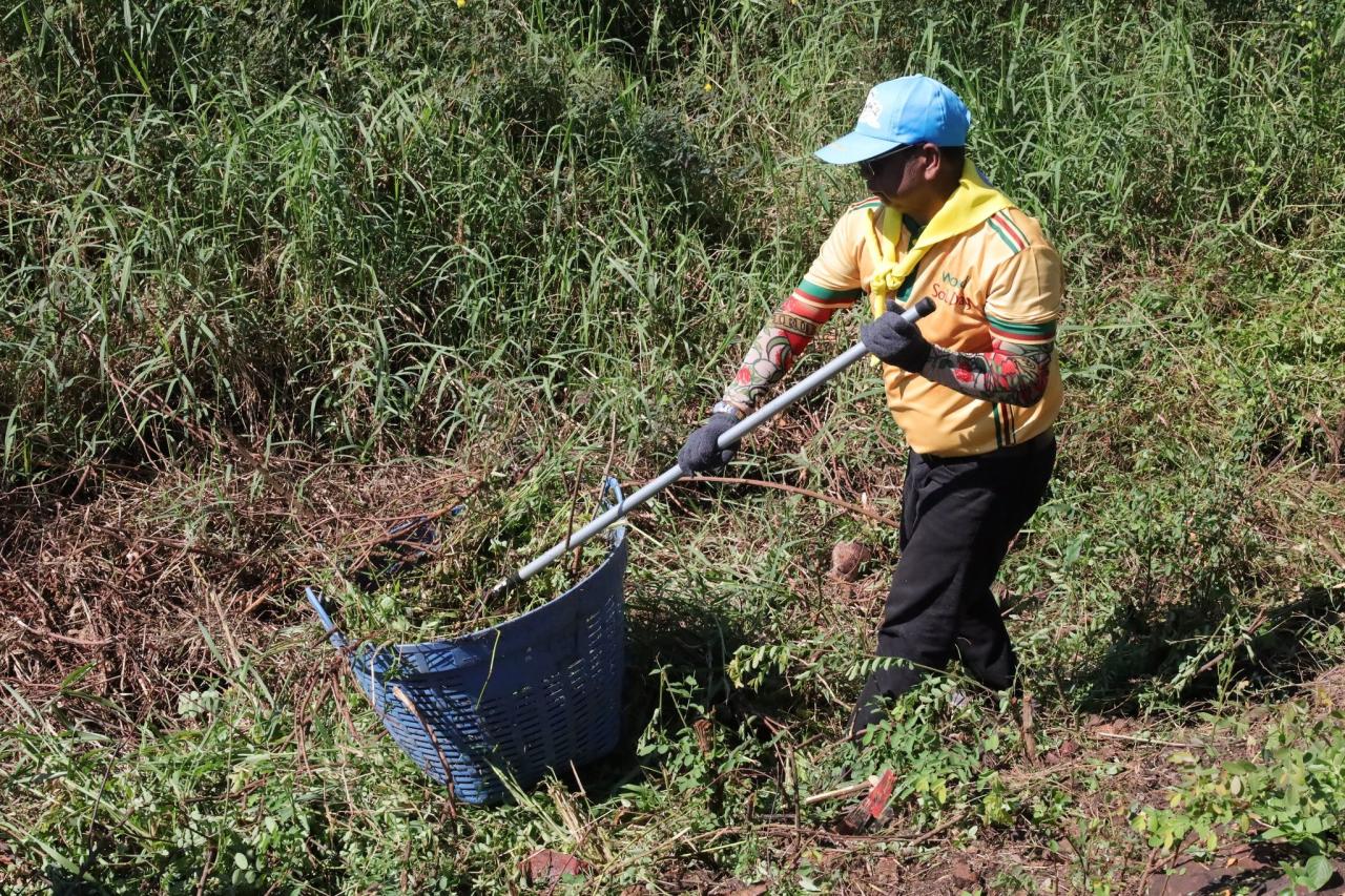 ภาพประกอบที่ 11