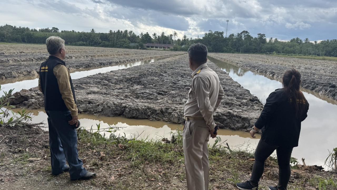ภาพประกอบที่ 2