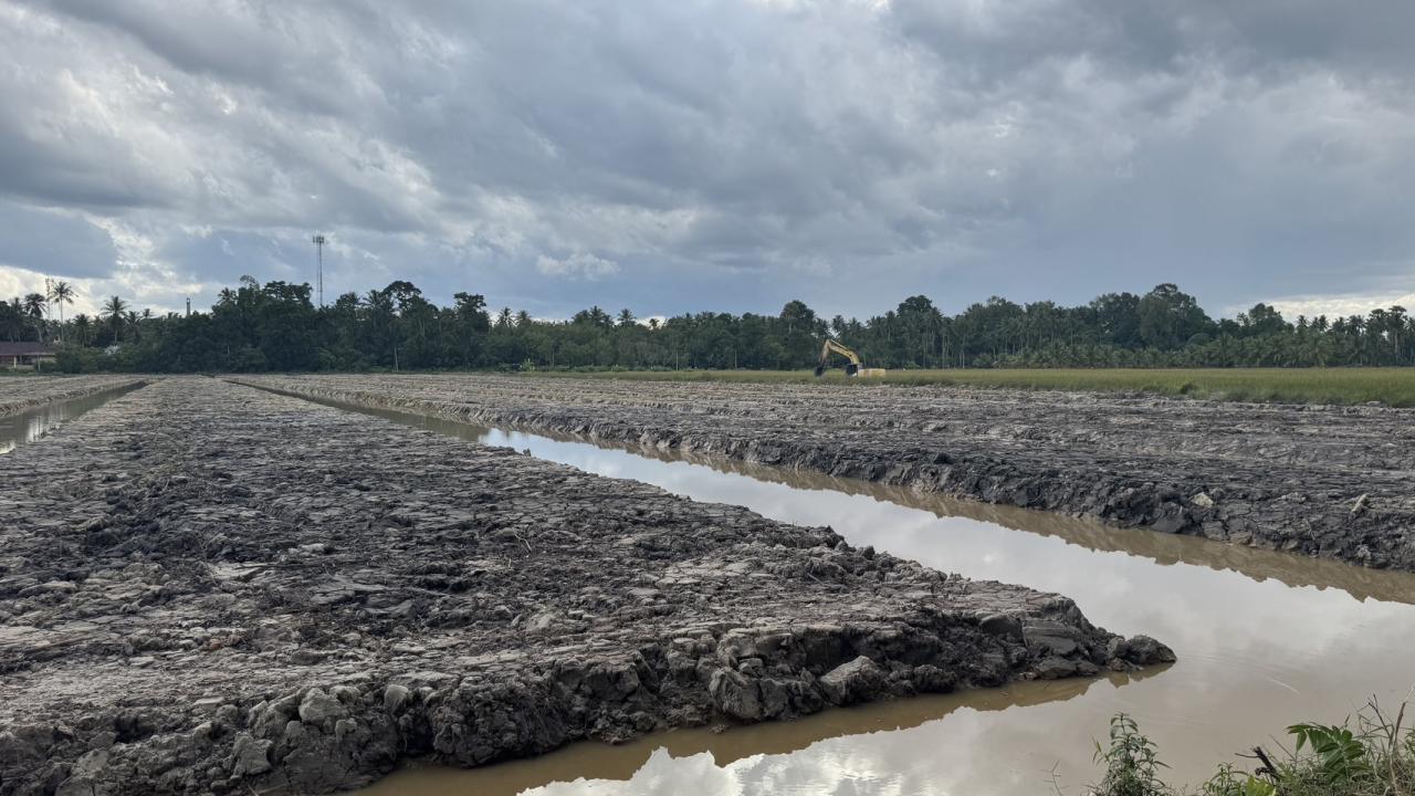 ภาพประกอบที่ 5