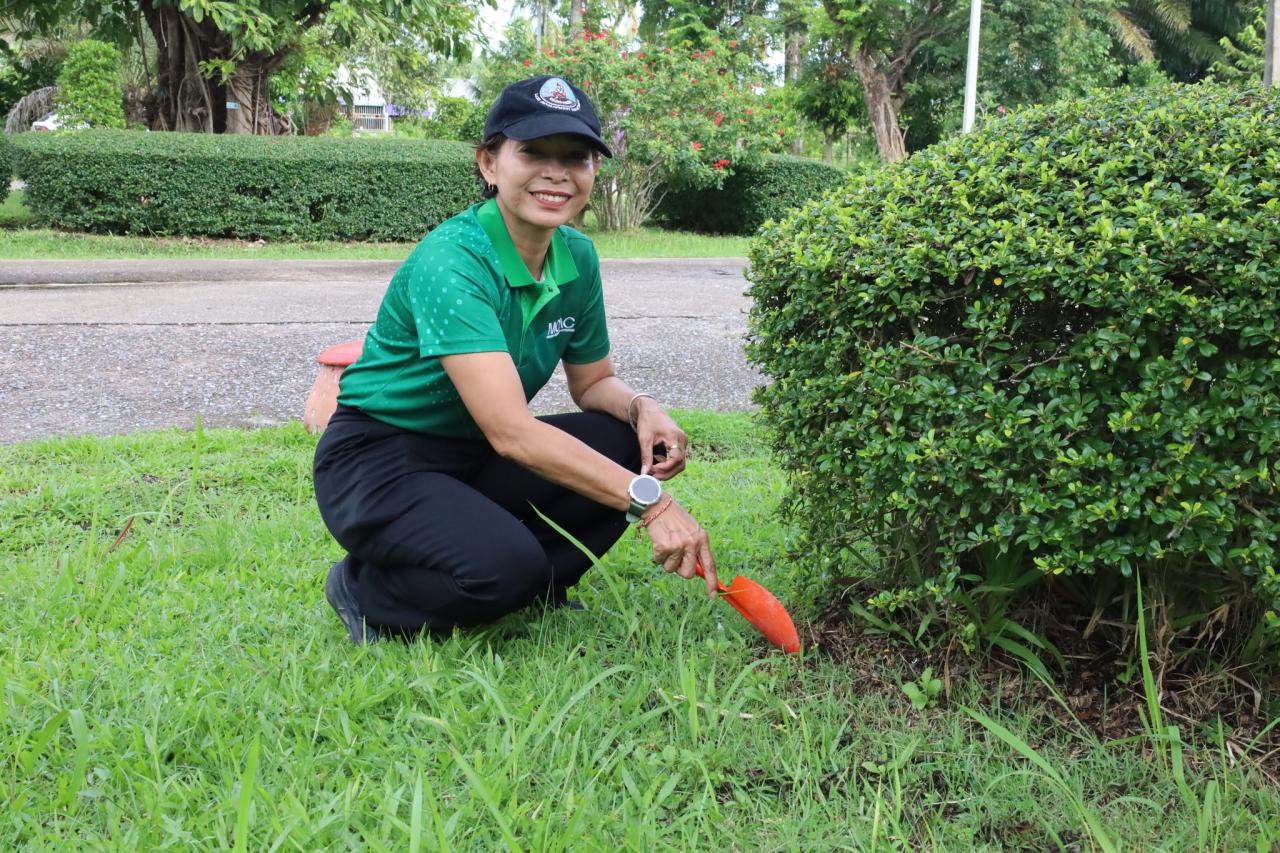 ภาพประกอบที่ 1