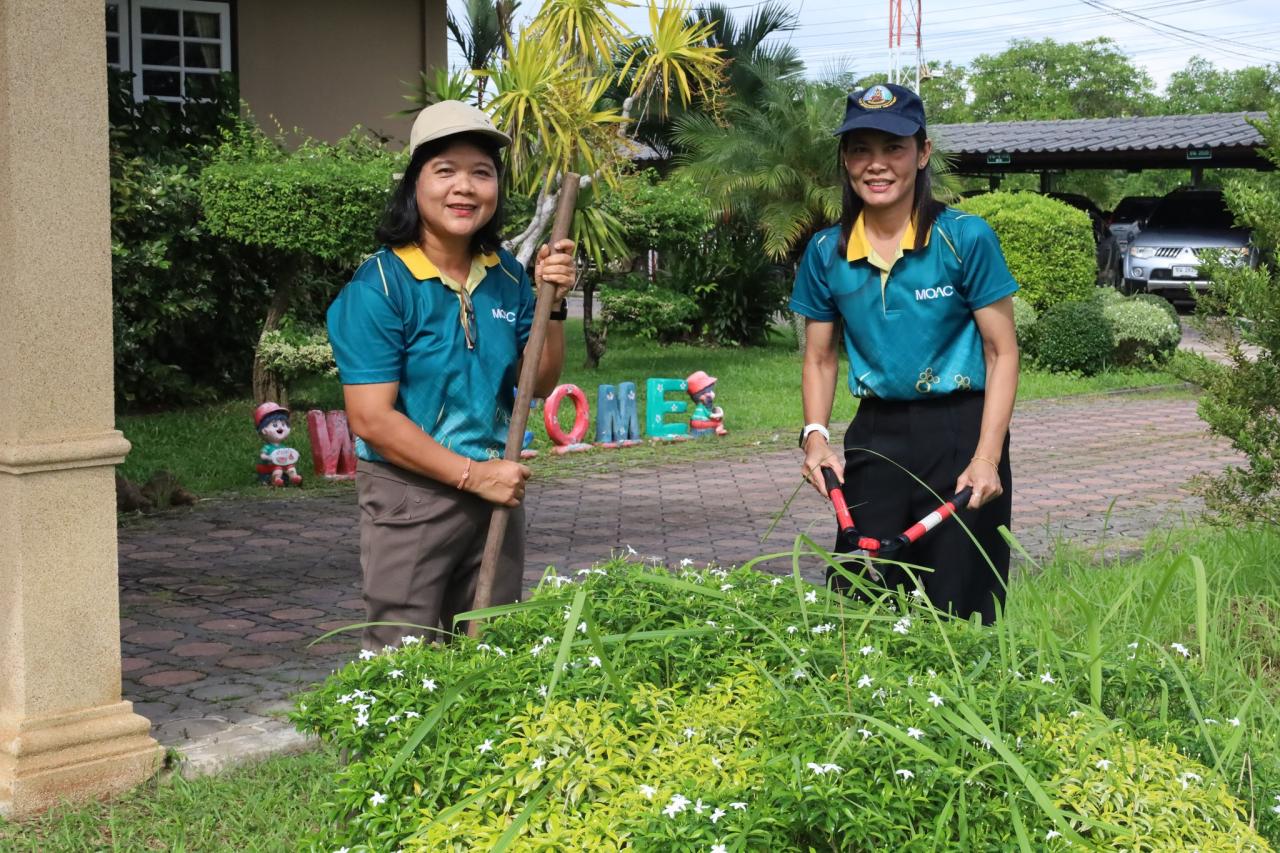 ภาพประกอบที่ 2