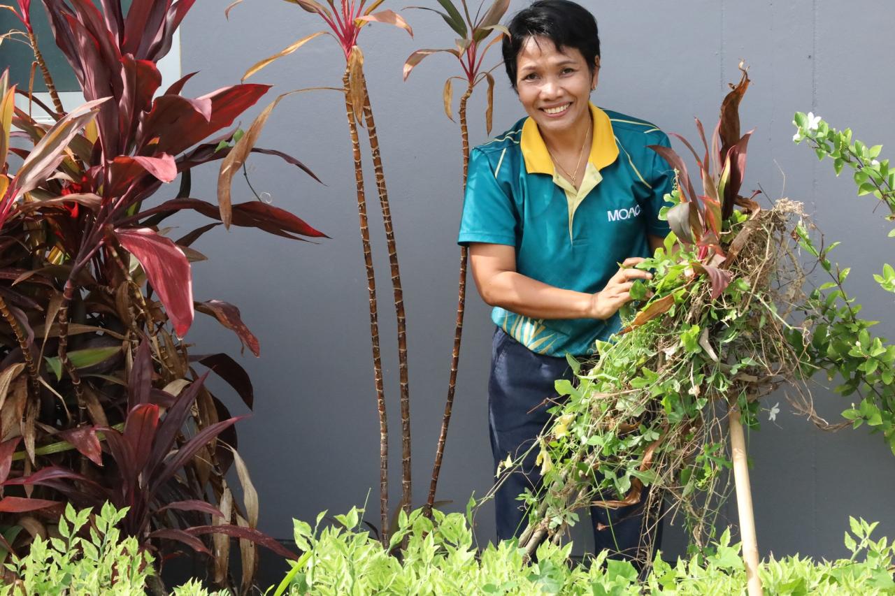 ภาพประกอบที่ 3