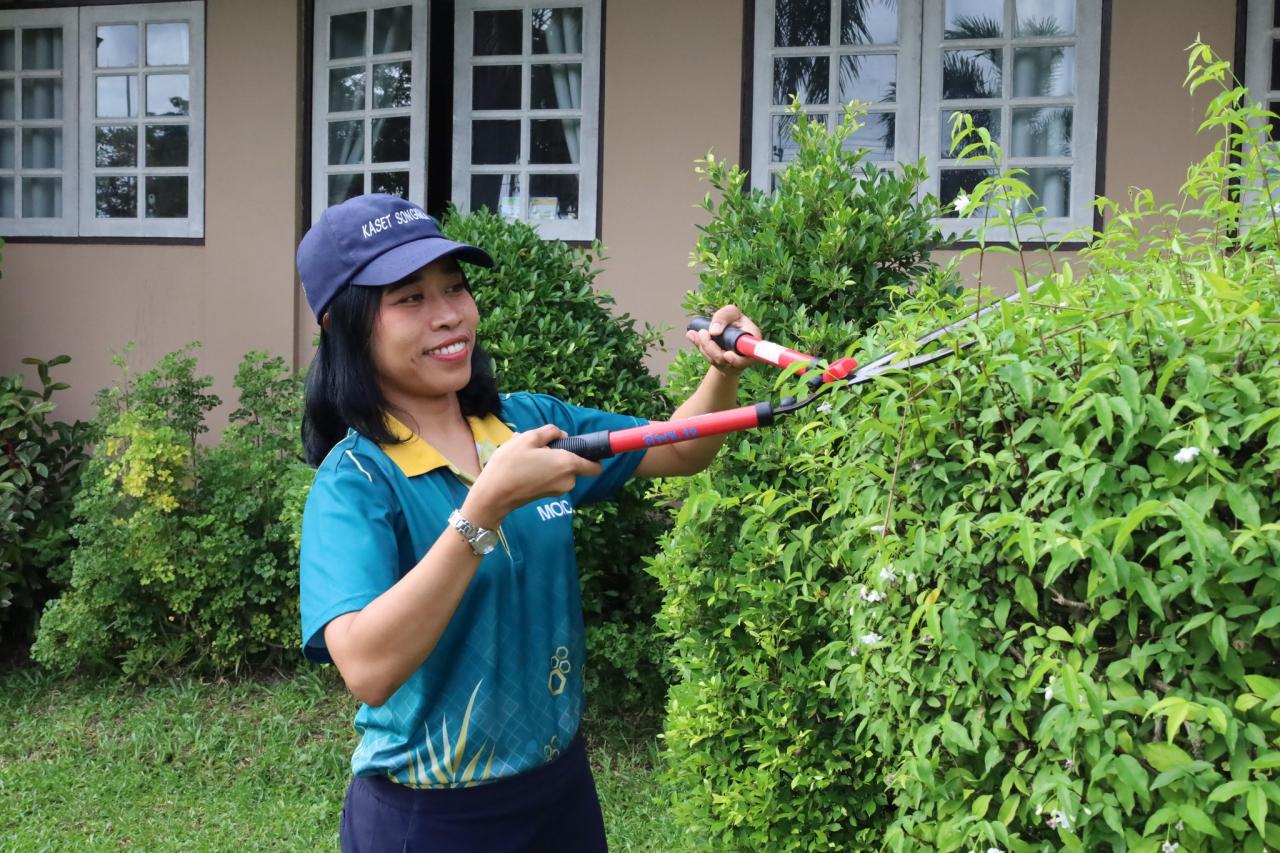 ภาพประกอบที่ 5