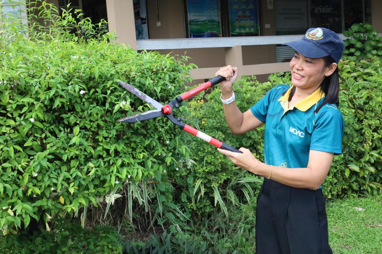 ภาพประกอบที่ 7