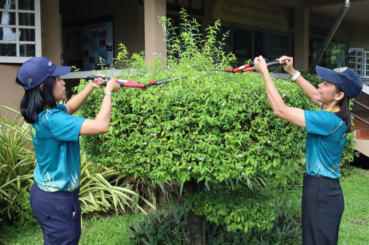 ภาพประกอบที่ 8