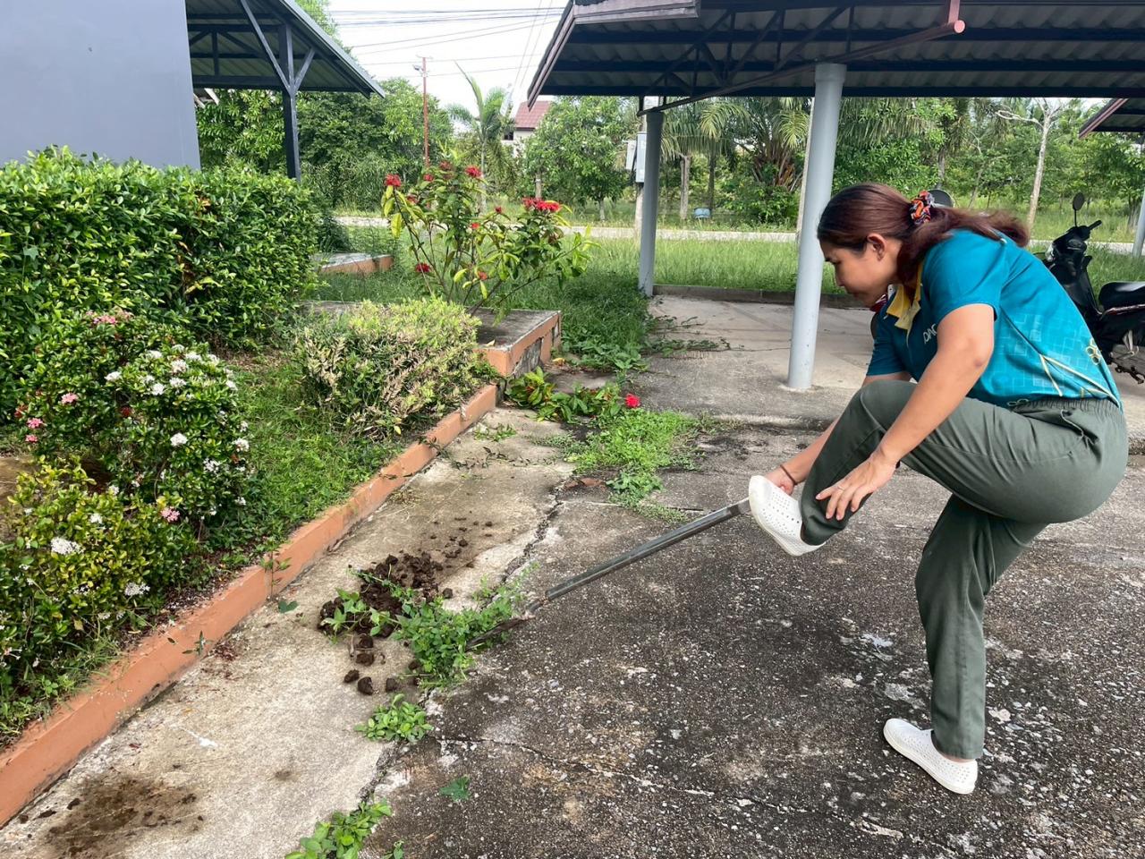 ภาพประกอบที่ 9