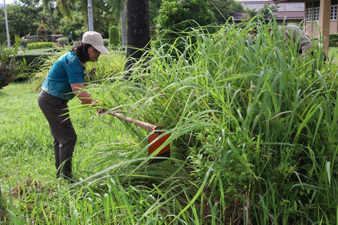 ภาพประกอบที่ 12