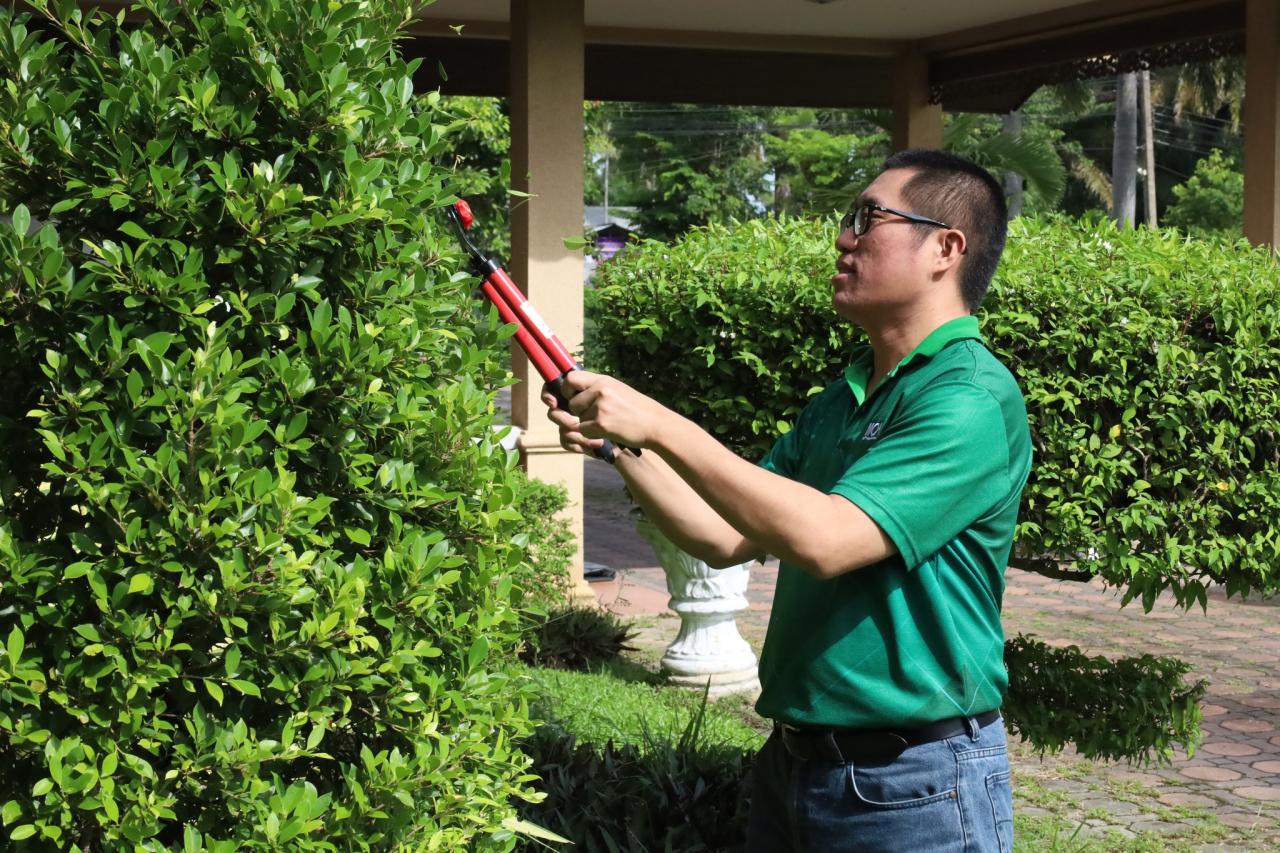 ภาพประกอบที่ 14