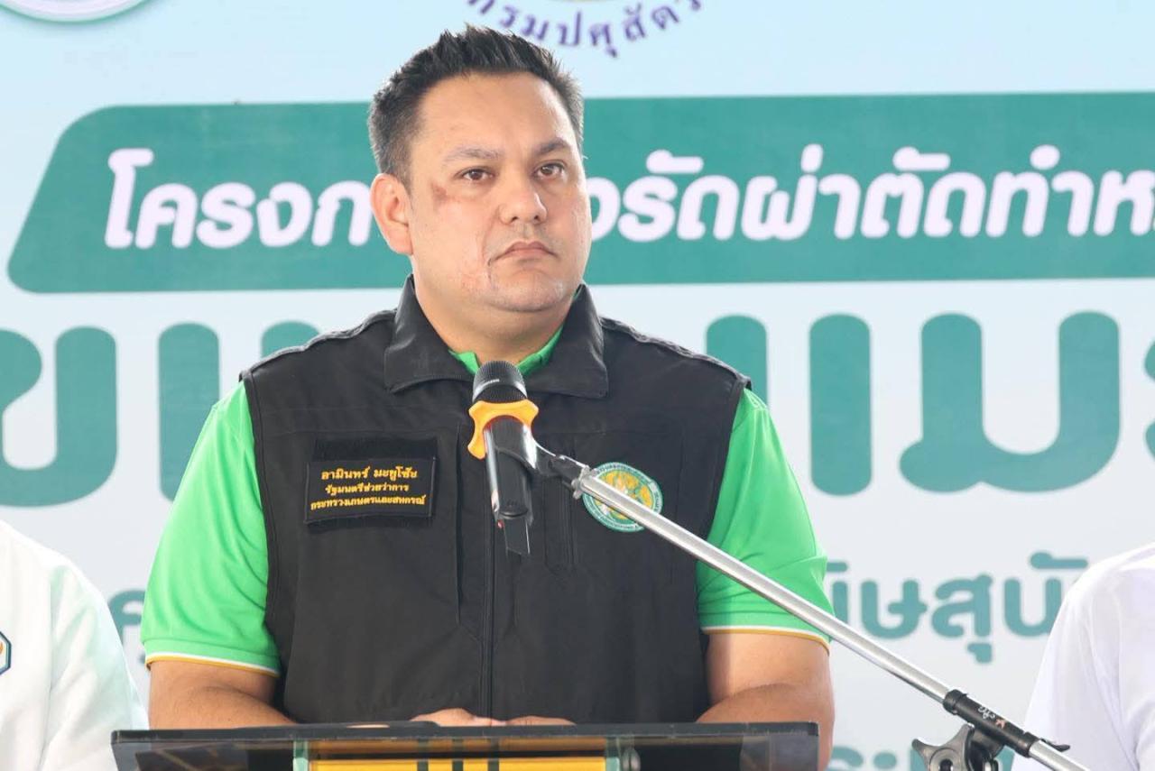 ภาพประกอบที่ 0