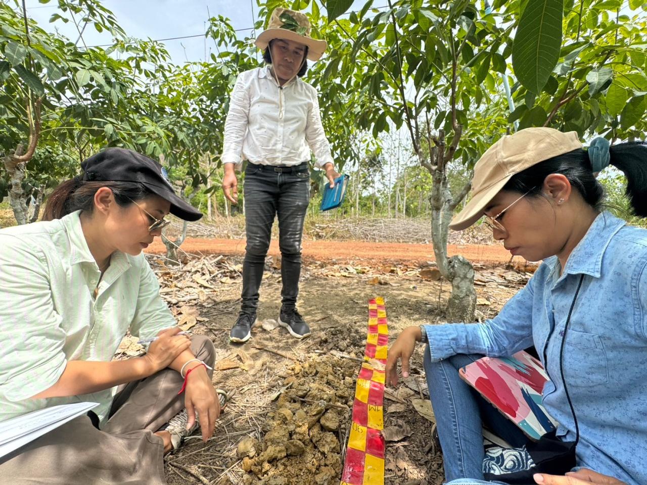 ภาพประกอบที่ 4