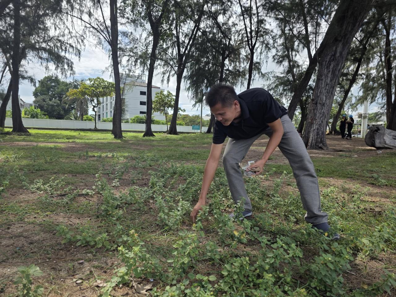 ภาพประกอบที่ 7