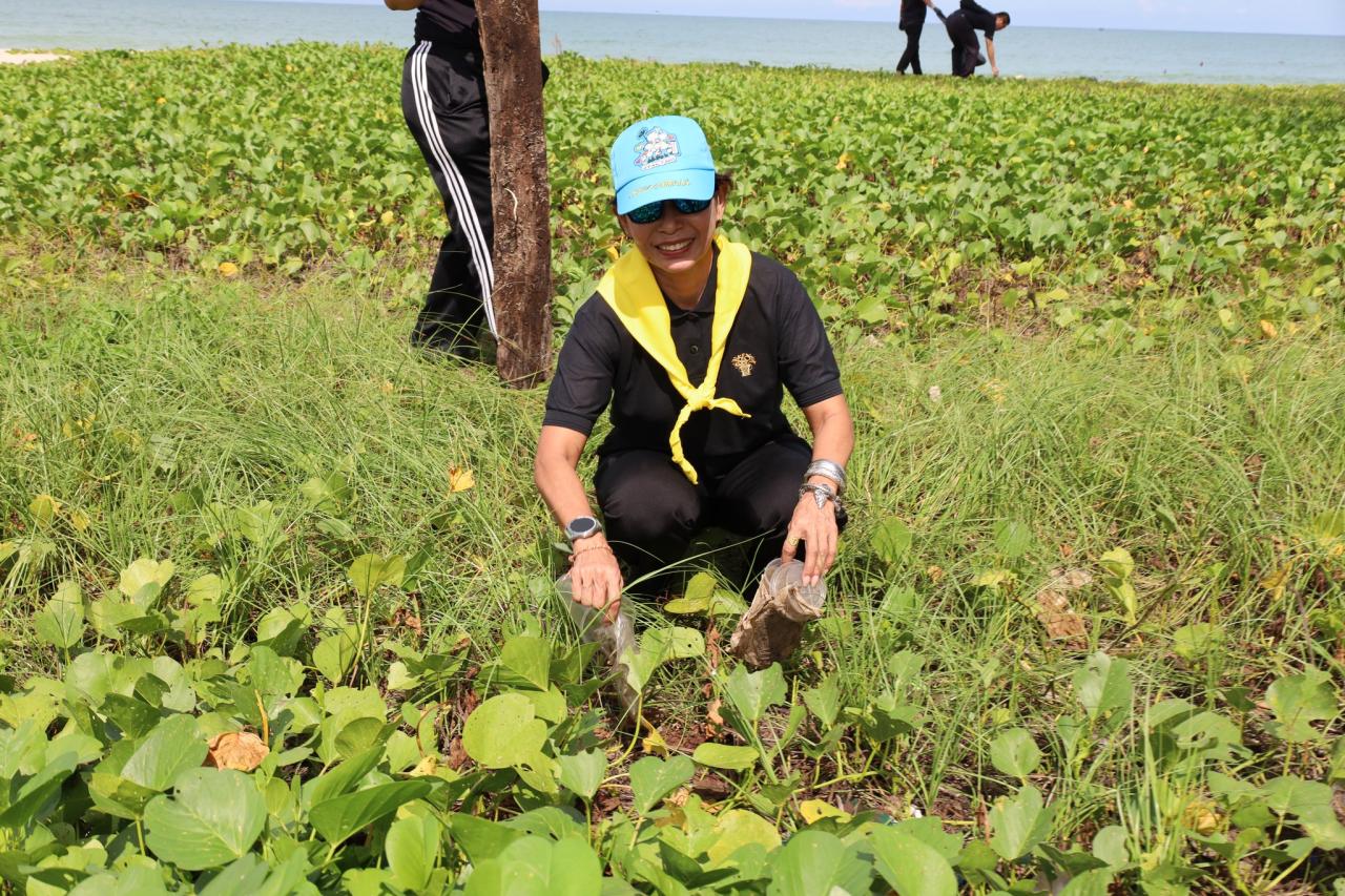 ภาพประกอบที่ 29