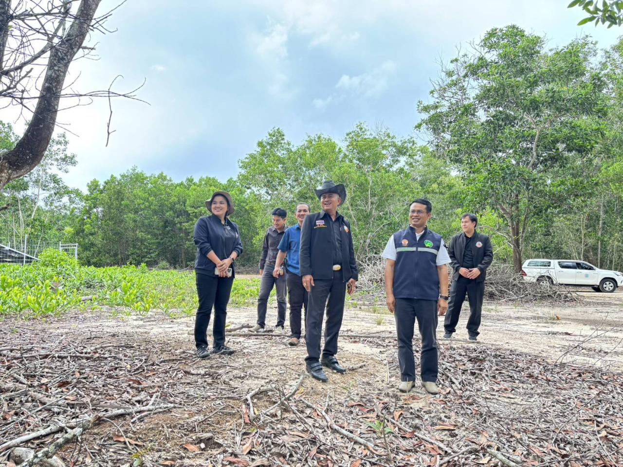 ภาพประกอบที่ 4