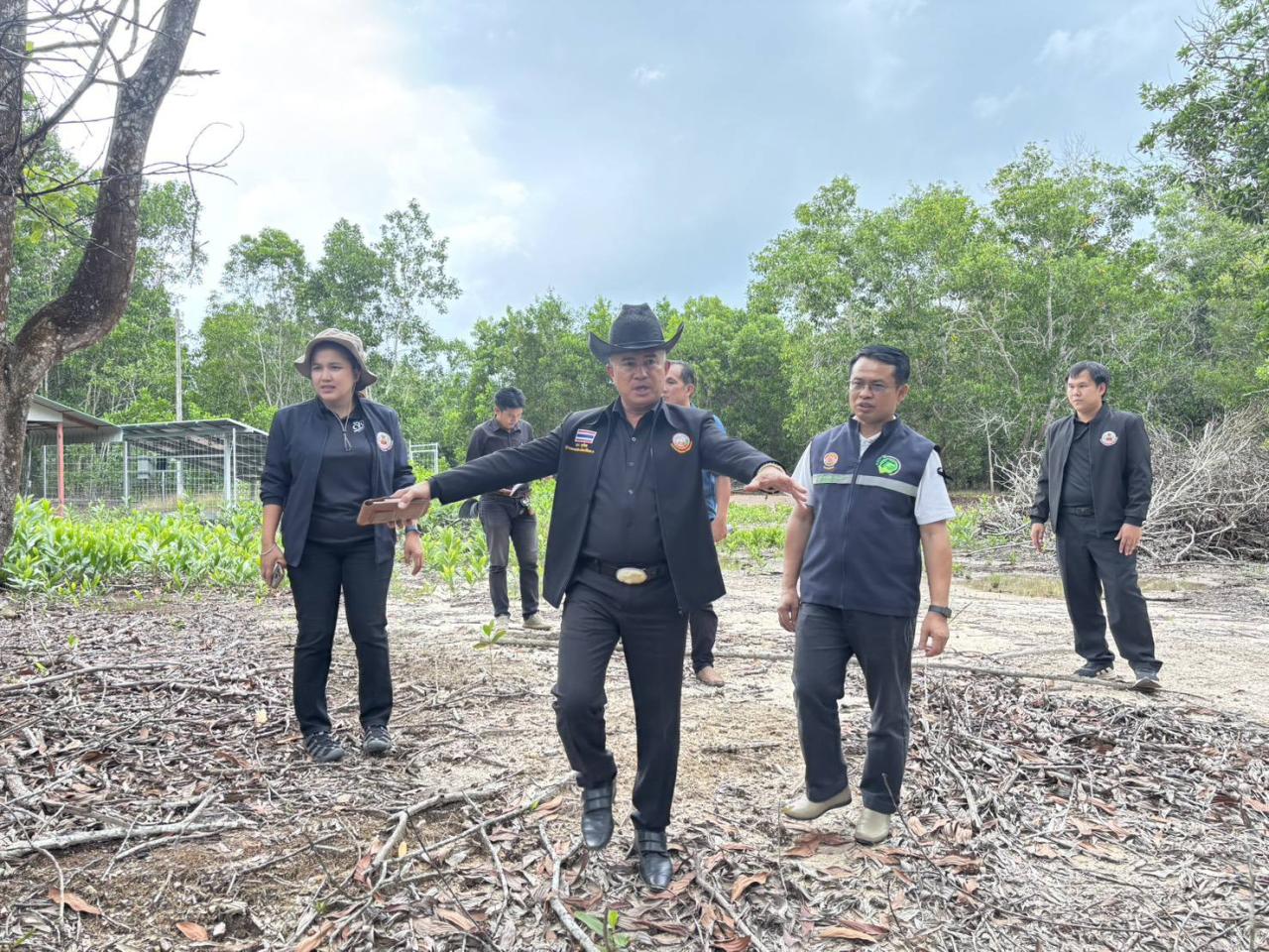 ภาพประกอบที่ 5