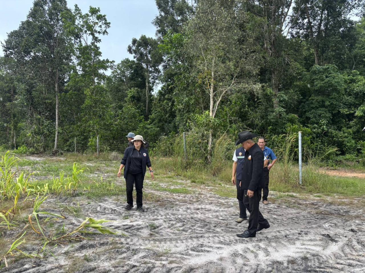 ภาพประกอบที่ 10