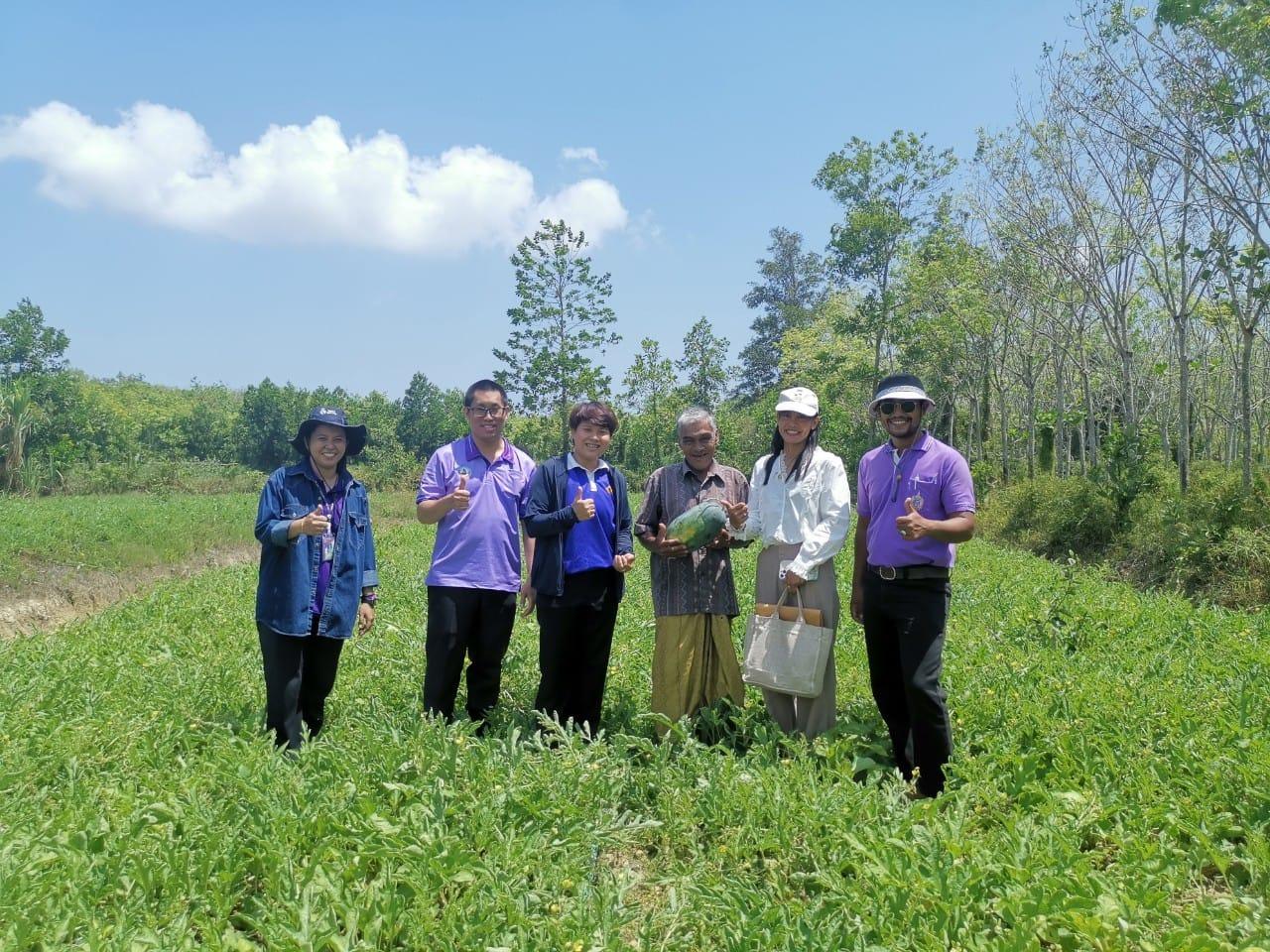 ภาพประกอบที่ 1