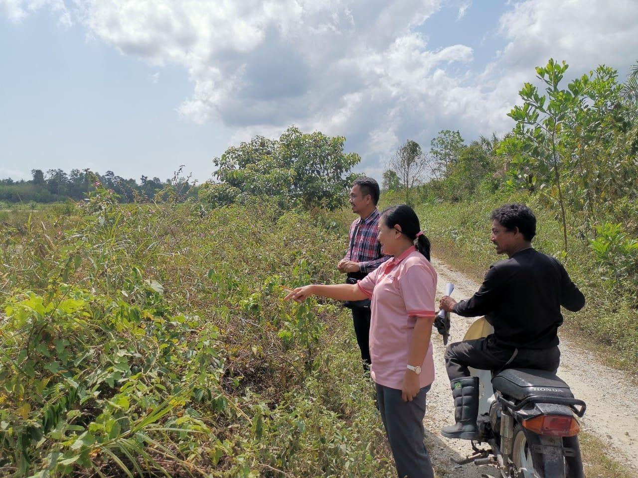 ภาพประกอบที่ 12