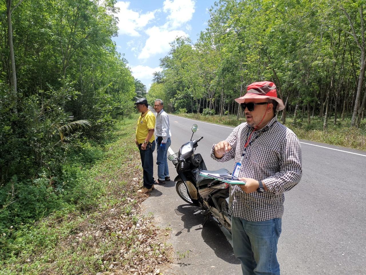 ภาพประกอบที่ 11