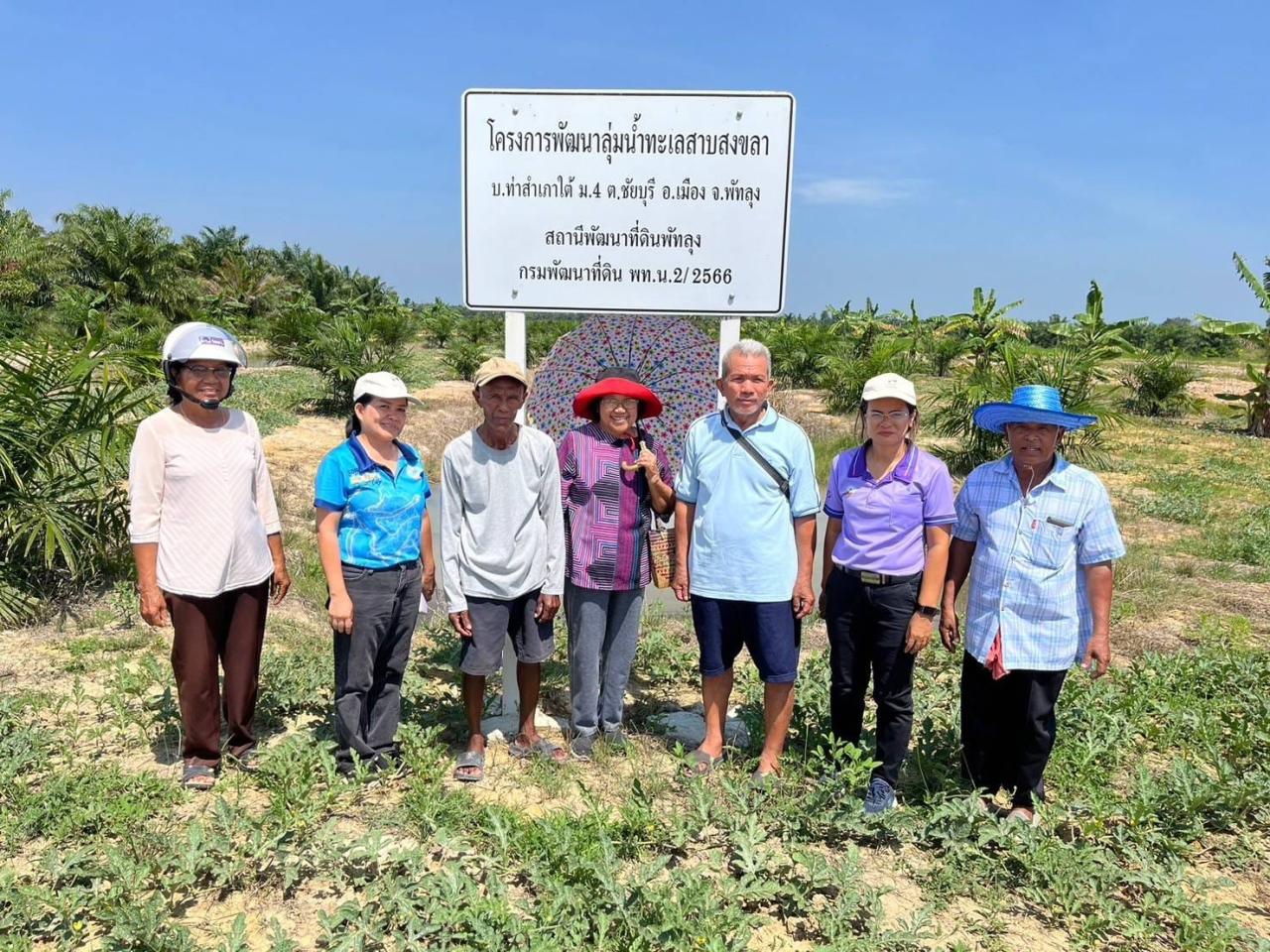 ภาพประกอบที่ 11