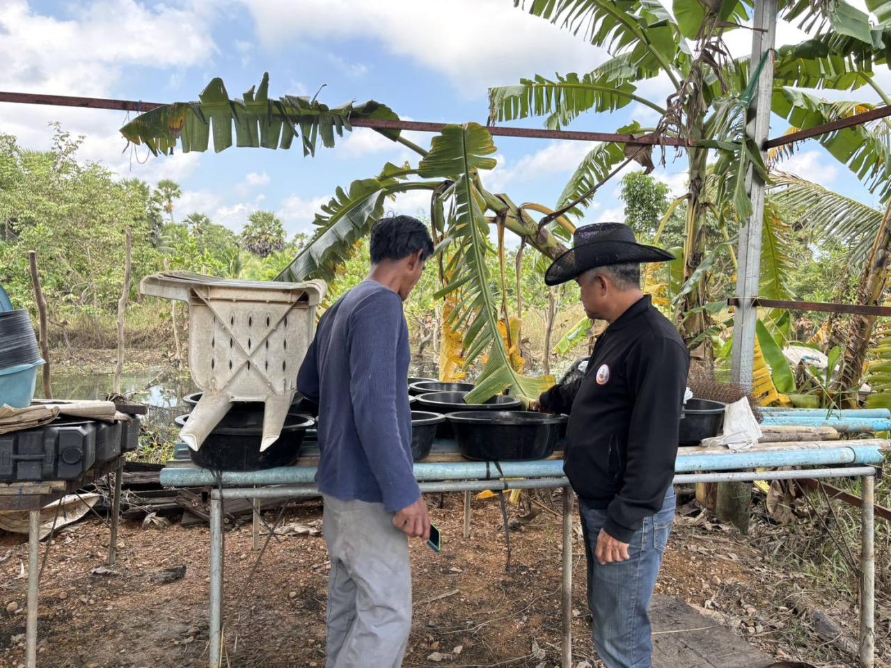 ภาพประกอบที่ 5