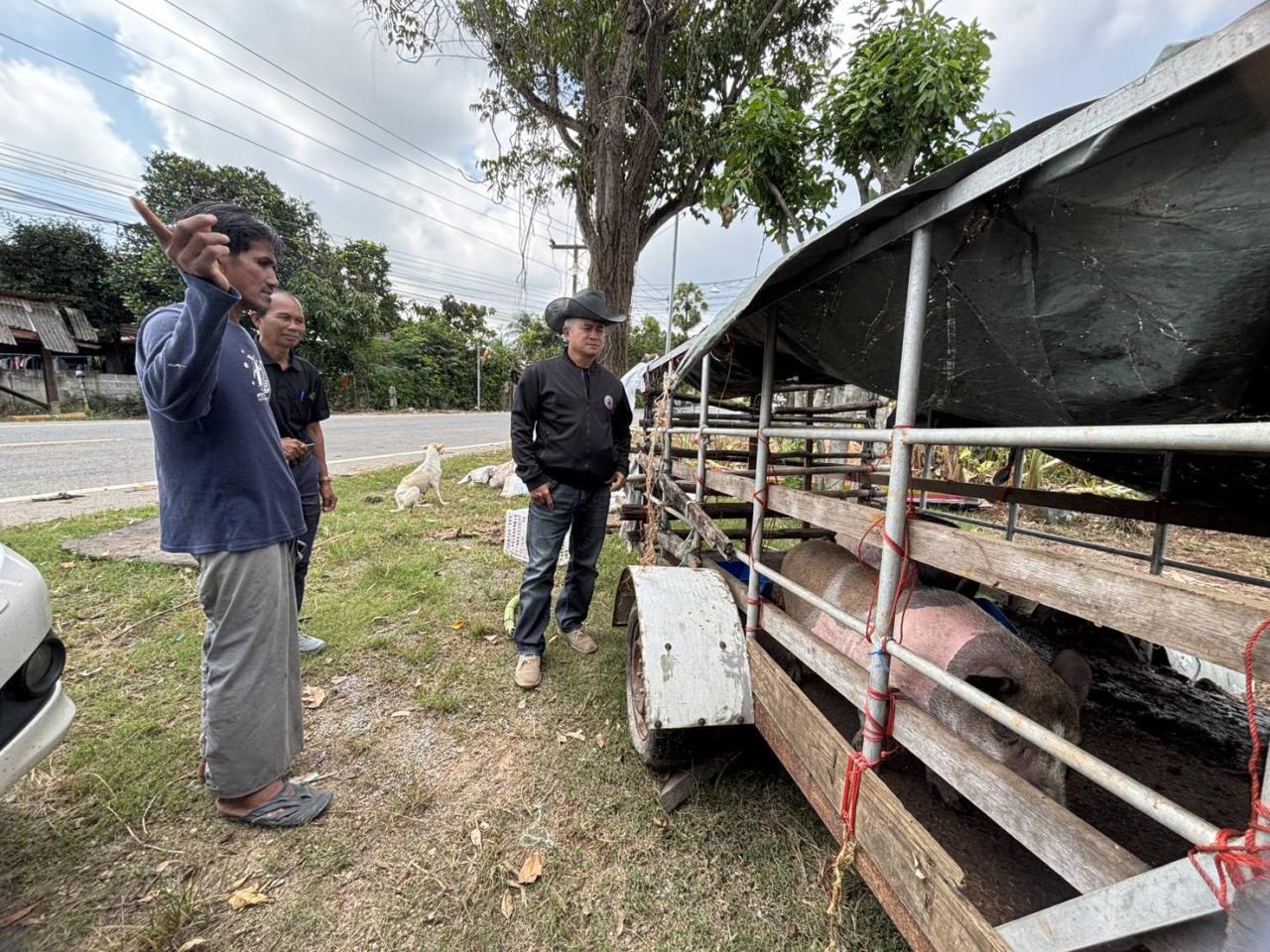 ภาพประกอบที่ 8