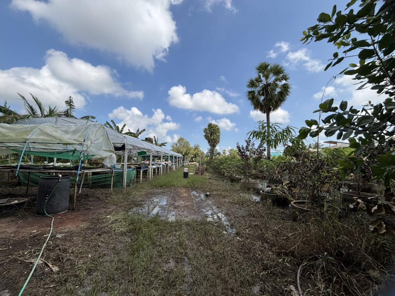 ภาพประกอบที่ 9