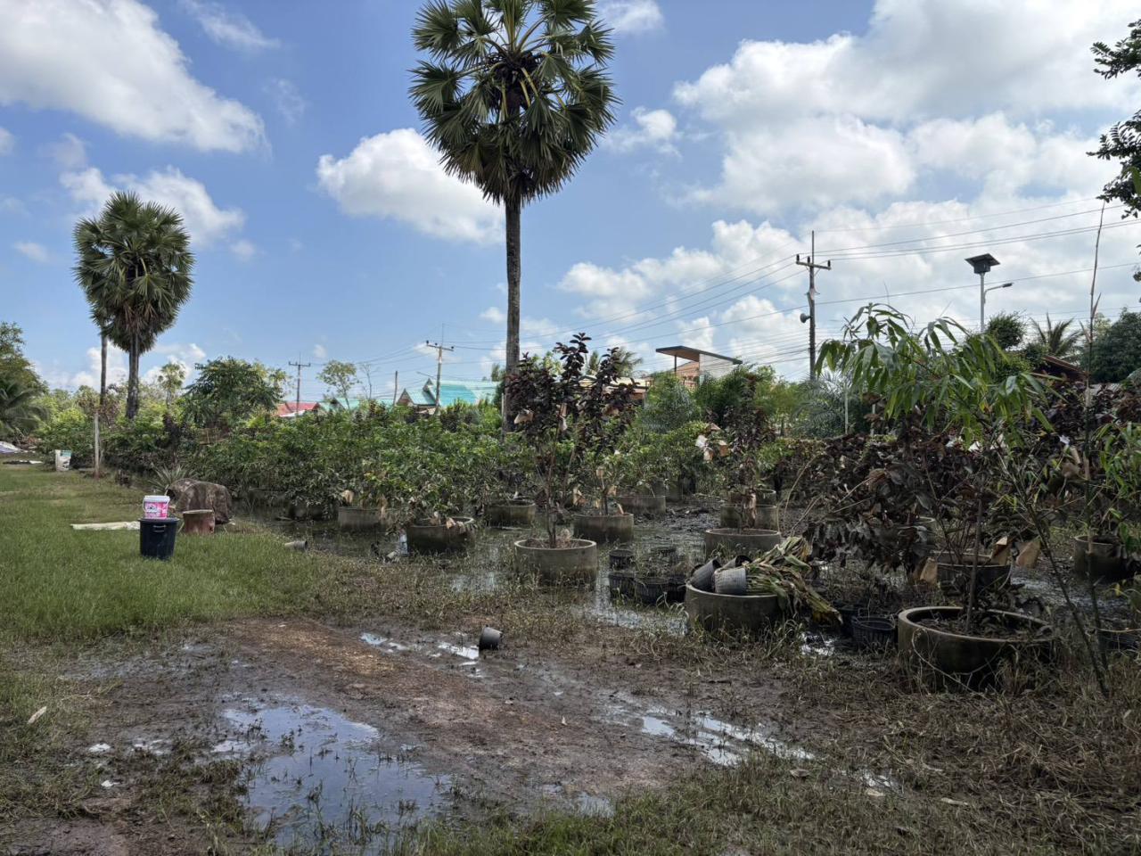 ภาพประกอบที่ 10