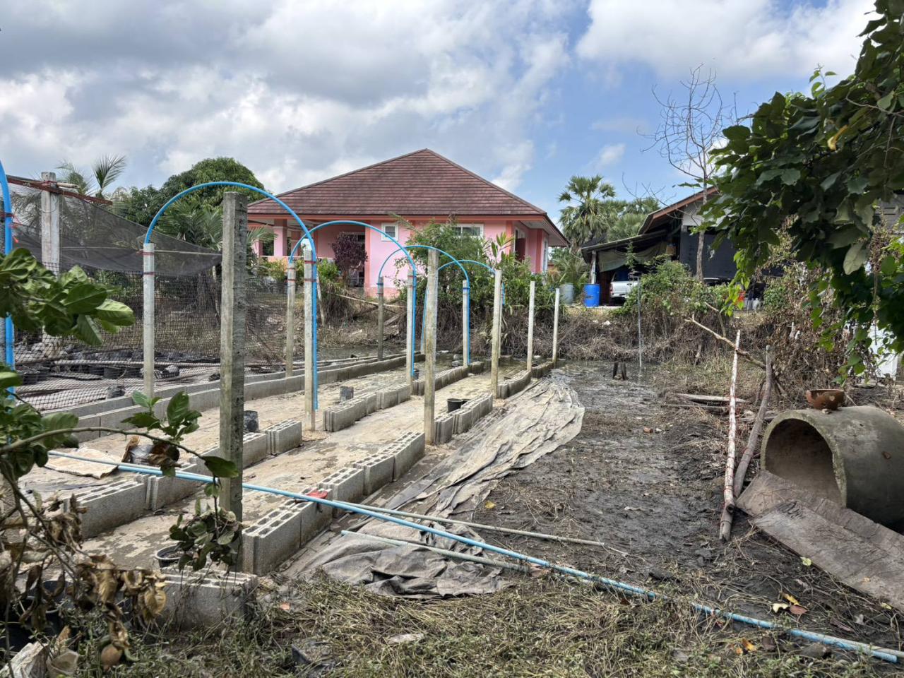 ภาพประกอบที่ 11