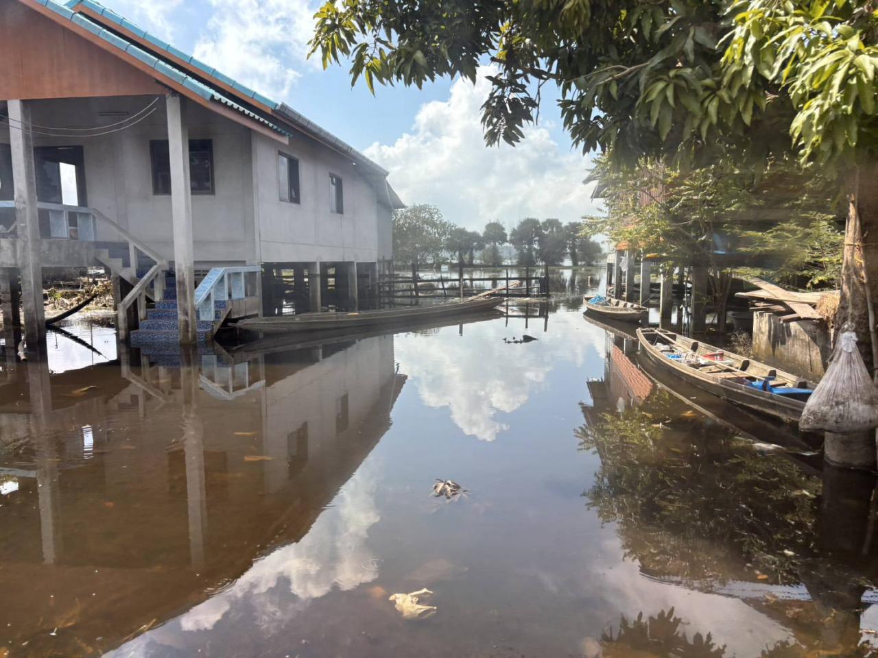 ภาพประกอบที่ 19