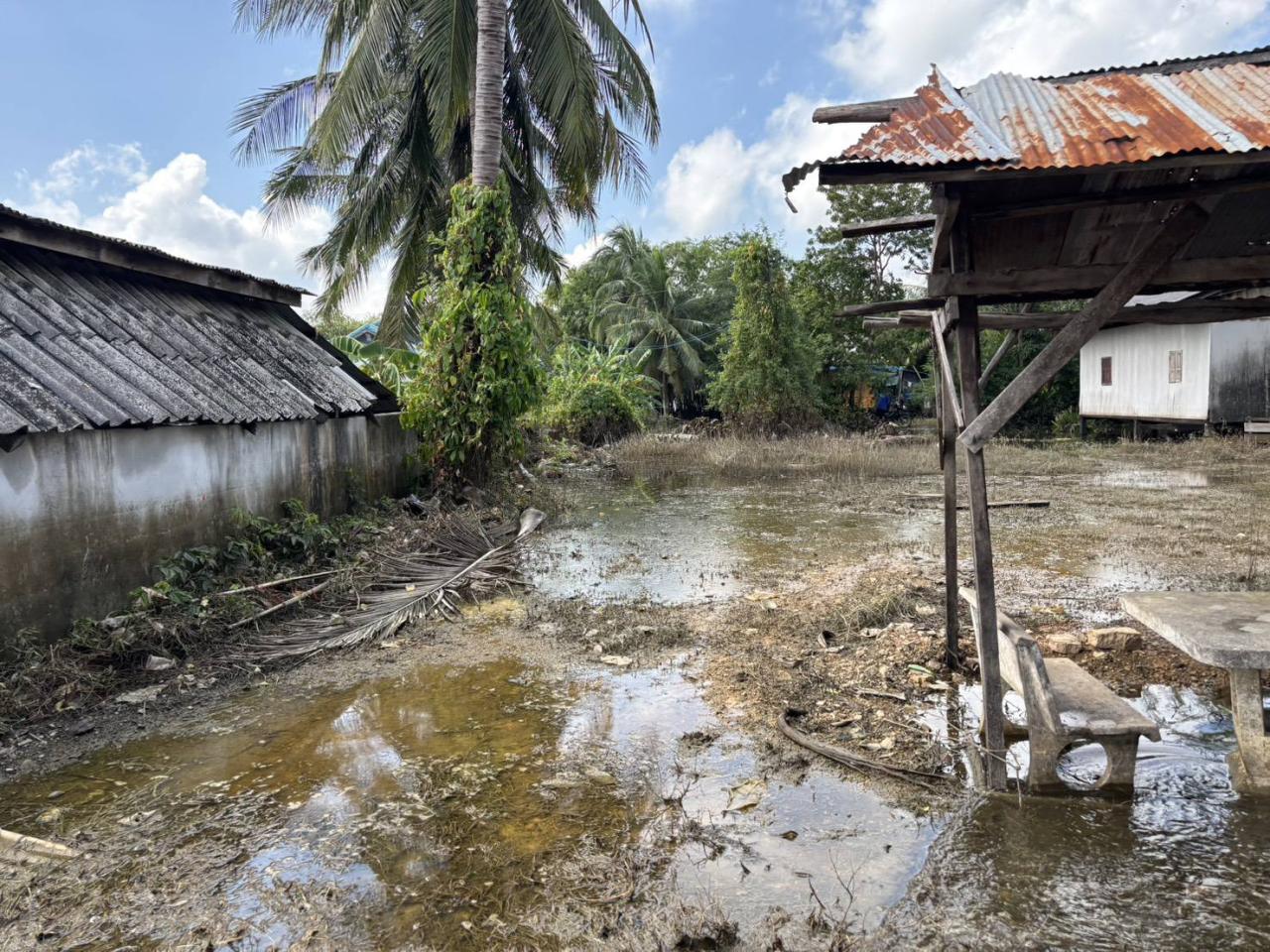 ภาพประกอบที่ 20