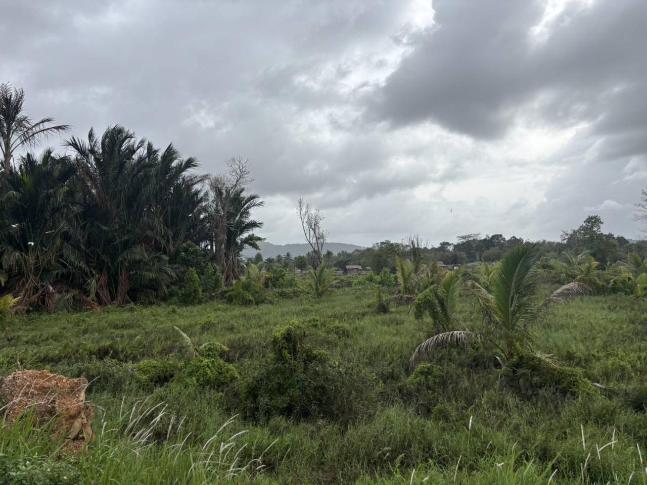 ภาพประกอบที่ 6