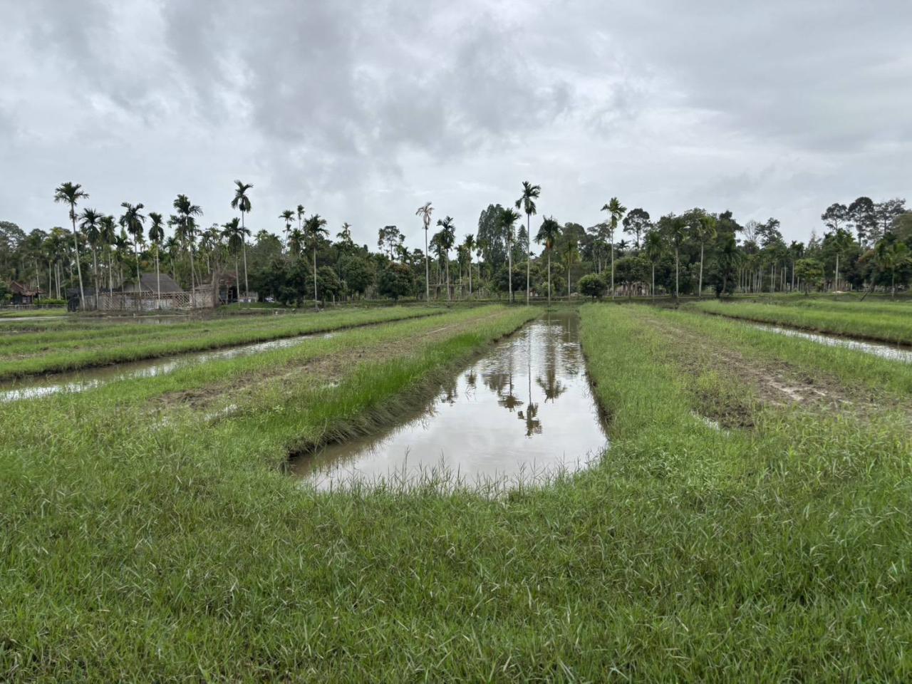ภาพประกอบที่ 8