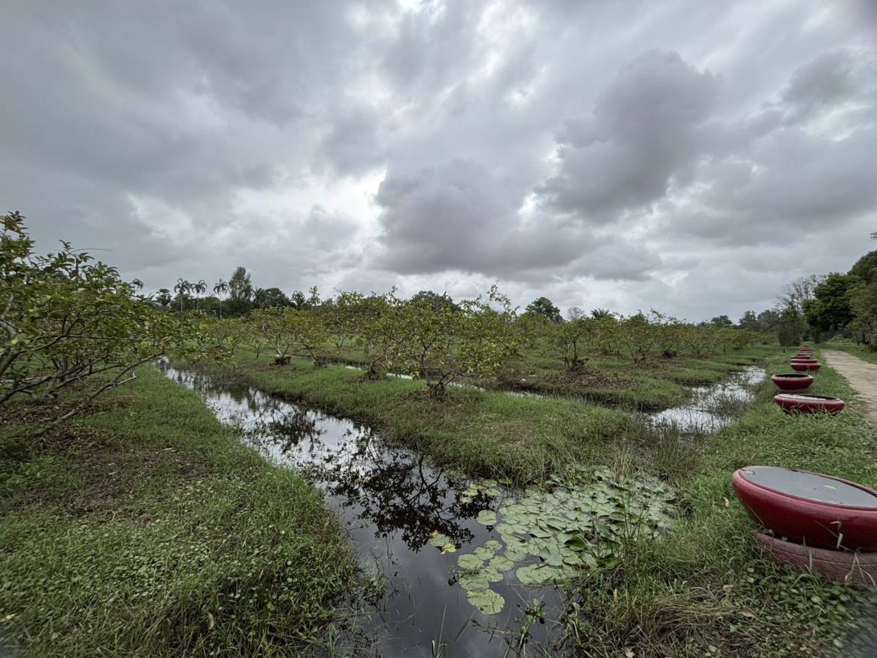 ภาพประกอบที่ 9