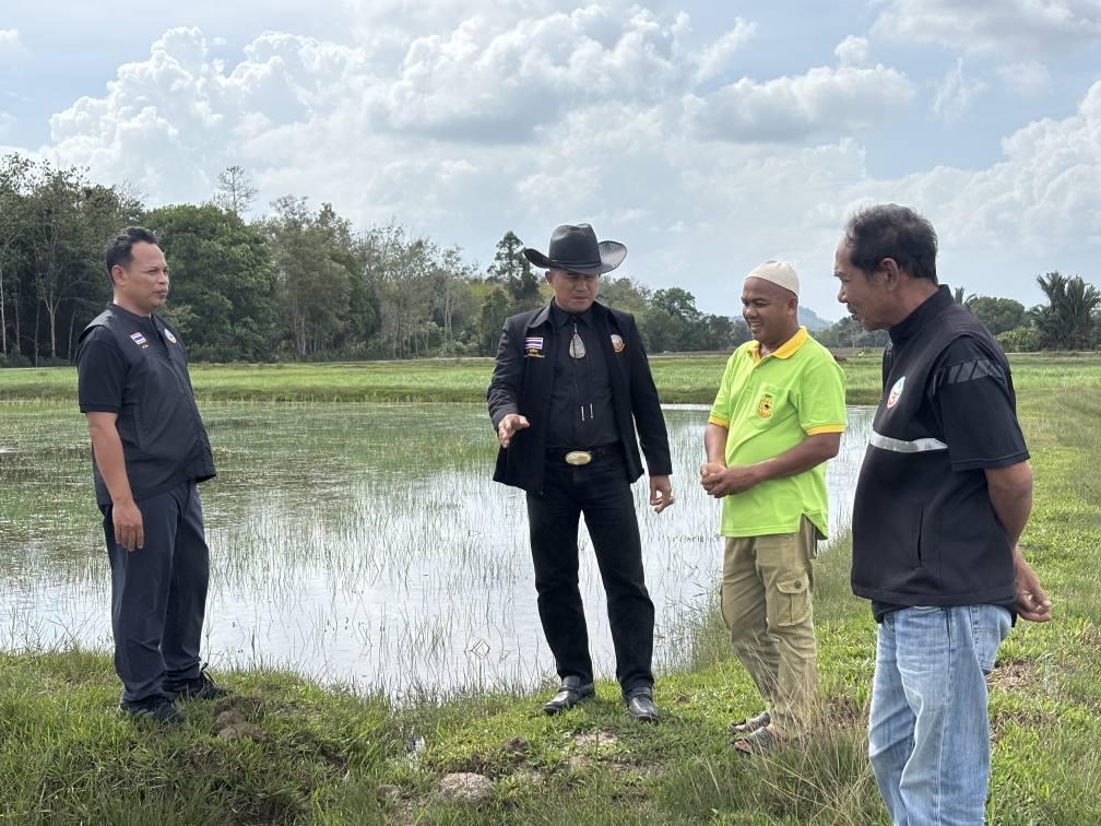 ภาพประกอบที่ 8