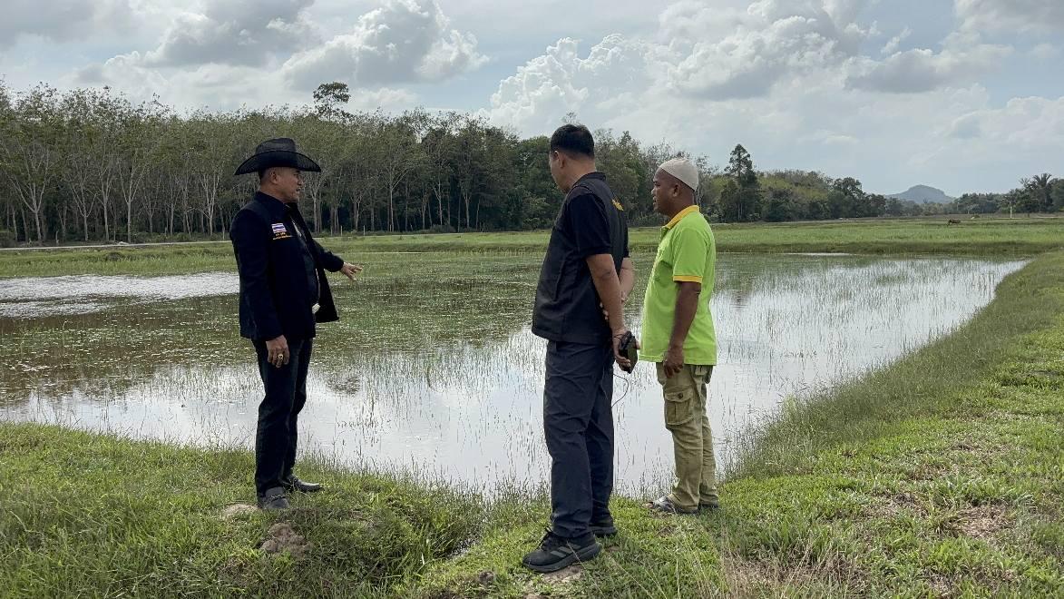 ภาพประกอบที่ 9