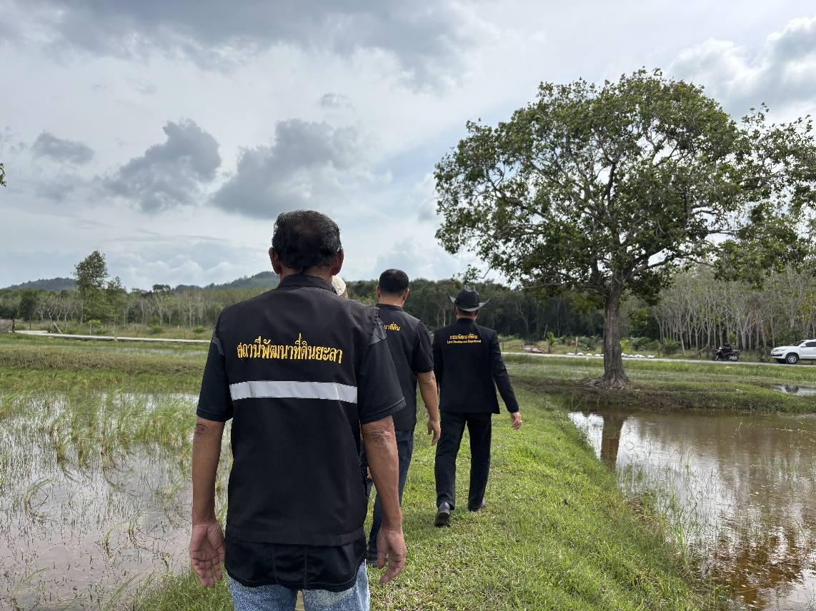 ภาพประกอบที่ 10