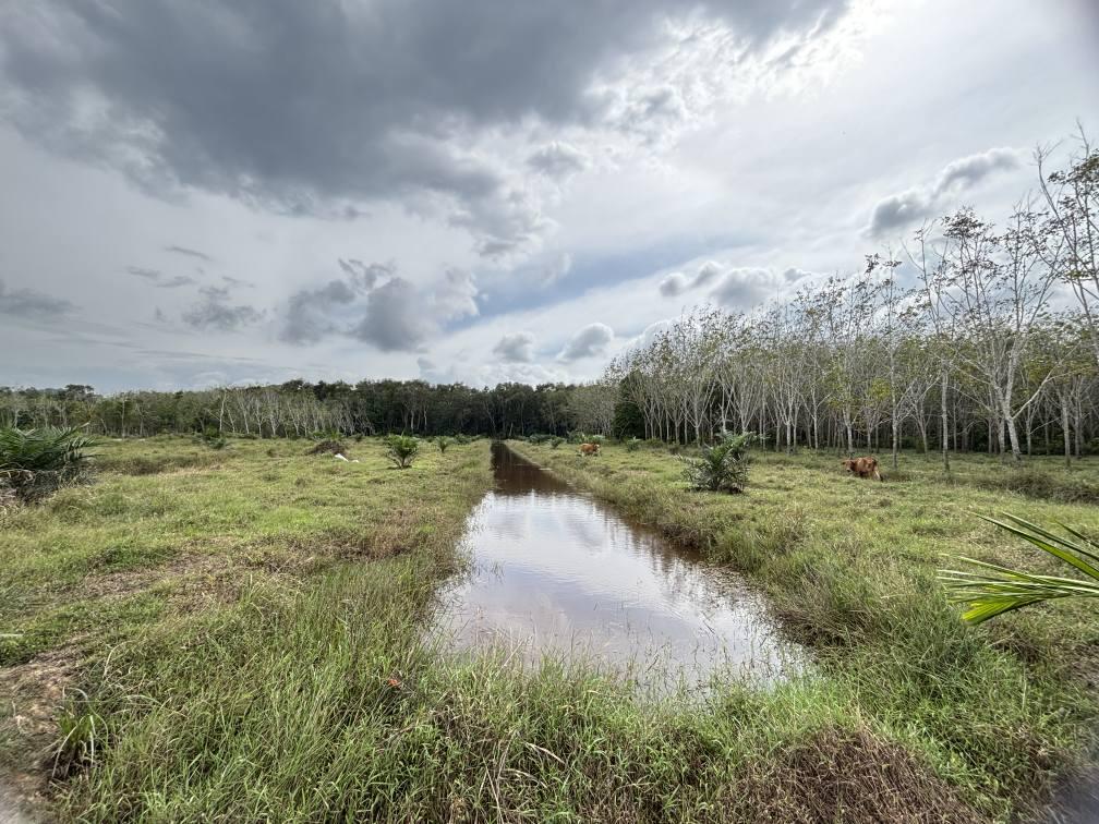 ภาพประกอบที่ 11