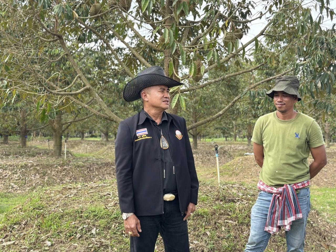 ภาพประกอบที่ 12