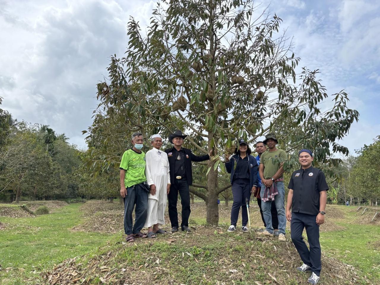 ภาพประกอบที่ 13