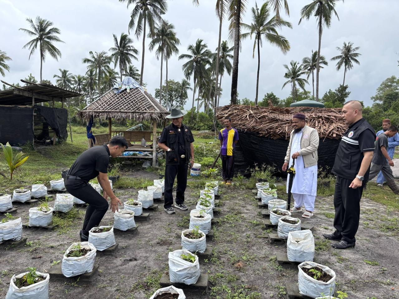 ภาพประกอบที่ 5