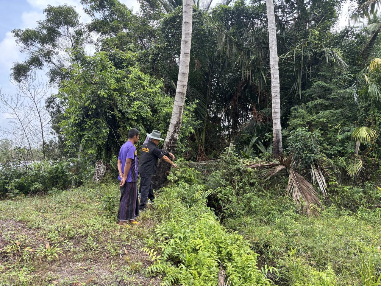 ภาพประกอบที่ 6