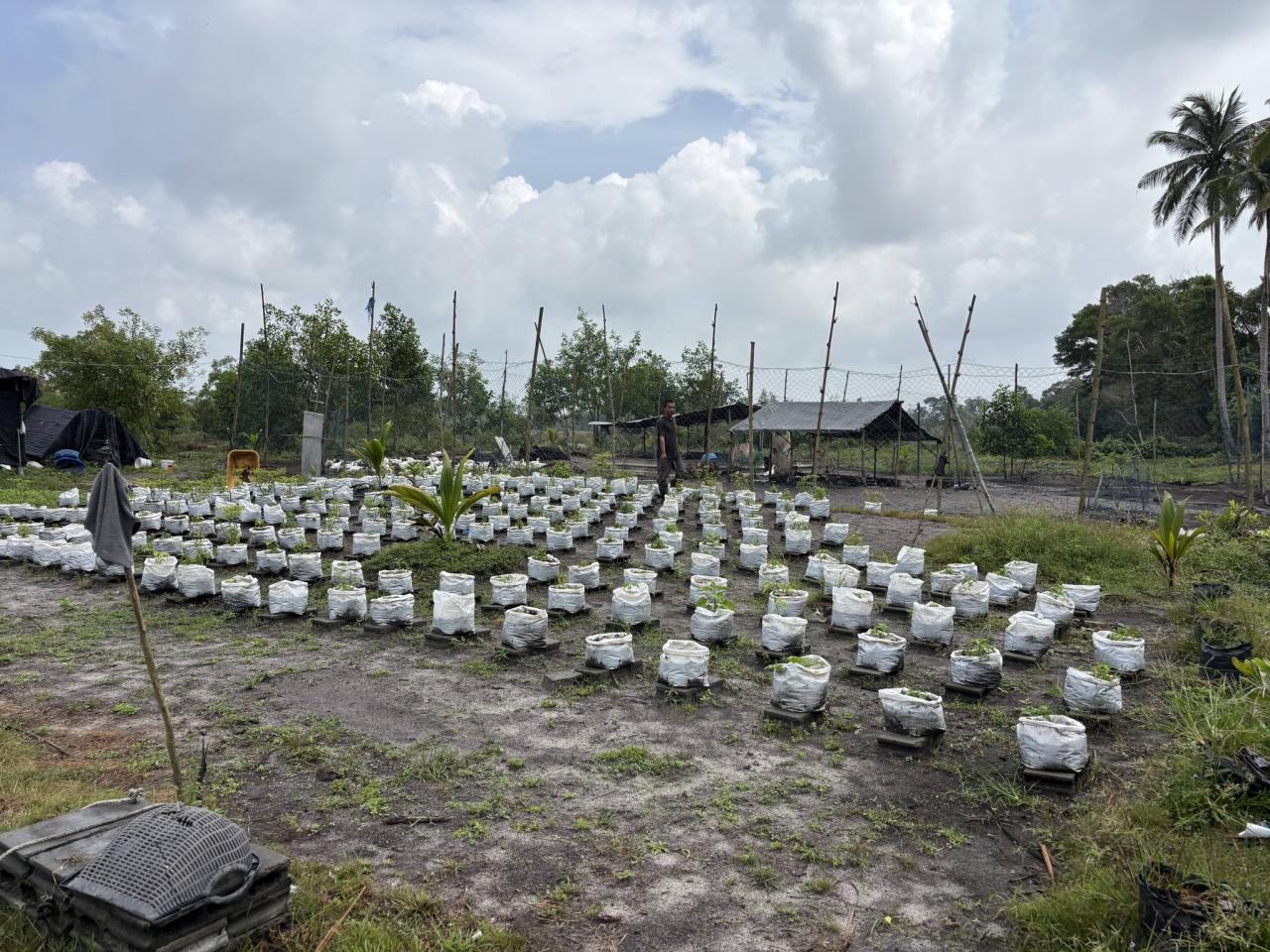 ภาพประกอบที่ 11