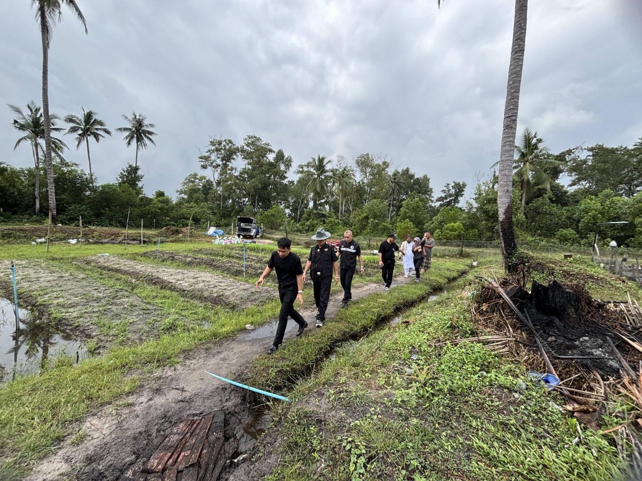 ภาพประกอบที่ 12