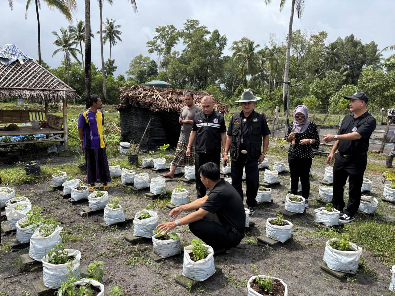 ภาพประกอบที่ 13